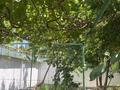 Отдельный дом · 5 комнат · 200 м² · 6 сот., П. Кадеева — А. Байтурсынова за 95 млн ₸ в Шымкенте, Аль-Фарабийский р-н — фото 21