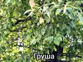 Үйдің бір бөлігі · 2 бөлме · 40 м² · 2 жүзд., Переулок Кирова 6 — Шикарная локация - Район начала Богенбай батыра, бағасы: 22.5 млн ₸ в Алматы, Медеуский р-н — фото 17