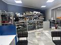 Офисы, склады, азс, автосервисы и автомойки, сельское хозяйство · 1100 м² за 260 млн ₸ в  — фото 9