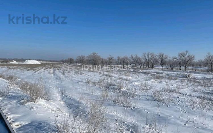 Жер телімі · 10 га, Алатау, бағасы: 1.8 млрд ₸ — фото 3