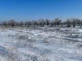 Жер телімі · 10 га, Алатау, бағасы: 1.8 млрд ₸ — фото 4