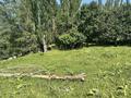 Участок · 25 соток, Бескайнар (Горный Садовод) за 48 млн ₸ — фото 4