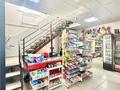Магазины и бутики, общепит · 440 м² за 55 млн ₸ в Шортандах — фото 3