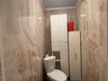 Отдельный дом · 5 комнат · 250 м² · 6 сот., Благоева 2 за 40 млн ₸ в Семее — фото 14