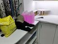 Бизнес по ремонту одежды либо ателье · 7 м², бағасы: 2.5 млн ₸ в Алматы, Алмалинский р-н — фото 4