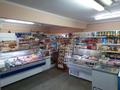 Магазины и бутики · 176 м² за 129 млн ₸ в Усть-Каменогорске — фото 7