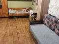 1-бөлмелі пәтер · 34 м² · 3/6 қабат, Желтоксан 37, бағасы: 7.5 млн ₸ в Аксу — фото 6