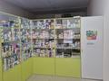 Еркін · 1000 м², бағасы: 120 млн ₸ в Мангышлаке — фото 17