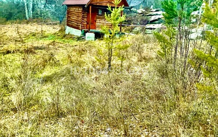 Участок · 12 соток, Новая Бухтарма за 7.9 млн 〒 — фото 9