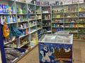 Магазины и бутики • 35 м² за 15.5 млн 〒 в Шымкенте, Аль-Фарабийский р-н — фото 4