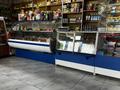 Действующий продуктовый магазин в селе Новоукраинка · 48 м² за 10 млн ₸ в Саумалколе