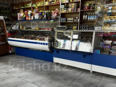 Действующий продуктовый магазин в селе Новоукраинка · 48 м² за 10 млн ₸ в Саумалколе