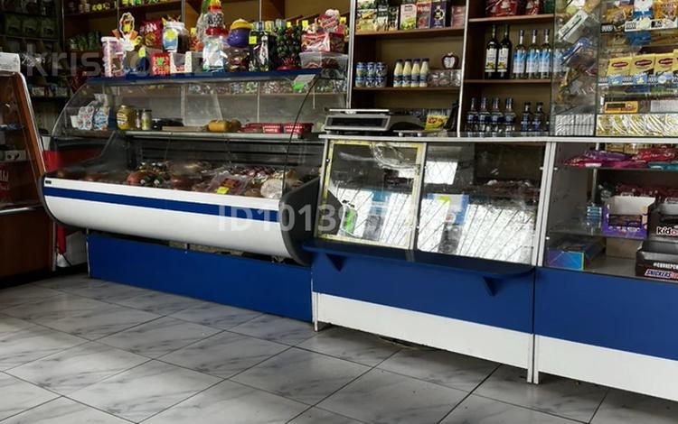Действующий продуктовый магазин в селе Новоукраинка · 48 м² за 10 млн ₸ в Саумалколе — фото 2