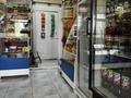 Действующий продуктовый магазин в селе Новоукраинка · 48 м² за 10 млн ₸ в Саумалколе — фото 2