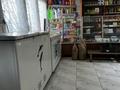 Действующий продуктовый магазин в селе Новоукраинка · 48 м² за 10 млн ₸ в Саумалколе — фото 3