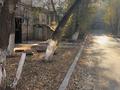 1-комнатная квартира · 30.6 м² · 4/4 этаж, мкр Новый Город, Пичугина 251/1 за 13.9 млн ₸ в Караганде, Казыбек би р-н — фото 4