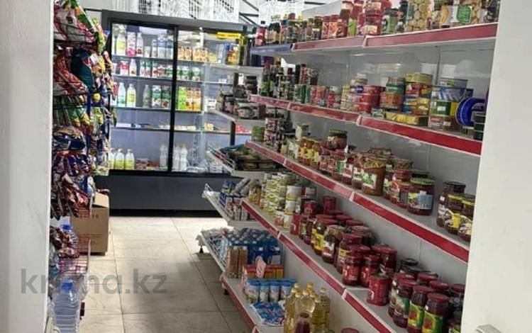 Еркін, дүкендер мен бутиктер, қоғамдық тамақтану орны · 128.4 м², бағасы: ~ 150 млн ₸ в Астане, Сарайшык р-н — фото 3