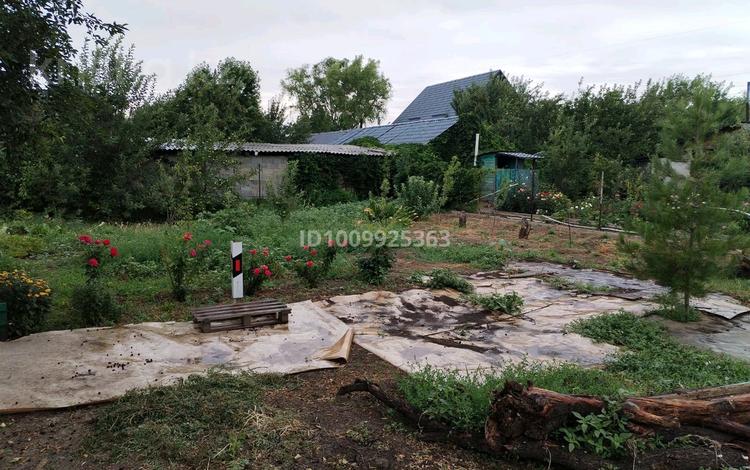 Отдельный дом · 3 комнаты · 50 м² · 10 сот., Алатауская 29 за 23 млн ₸ в  — фото 8