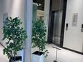 3-комнатная квартира · 88 м² · 5/14 этаж, Улы Дала 4 за 68 млн ₸ в Астане, Есильский р-н — фото 5