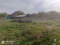 Участок · 8 соток, Бағова 9а — Санатори за 4.5 млн ₸ в Арыси — фото 3