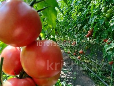 Сельское хозяйство · 4000 м² за 110 млн ₸ в Глубокое