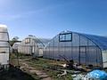 Сельское хозяйство · 4000 м² за 110 млн ₸ в Глубокое — фото 11
