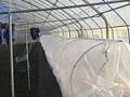 Сельское хозяйство · 4000 м² за 110 млн ₸ в Глубокое — фото 15