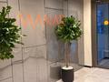 1-бөлмелі пәтер · 38.5 м² · 5/9 қабат, Александр Сызганов 1/1, бағасы: 25.5 млн ₸ в Астане, Есильский р-н — фото 9
