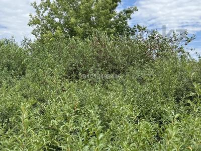Отдельный дом · 4 комнаты · 60 м² · 12 сот., мкр Пригородный 135-137 — Черемушки за 25 млн ₸ в Астане, Есильский р-н
