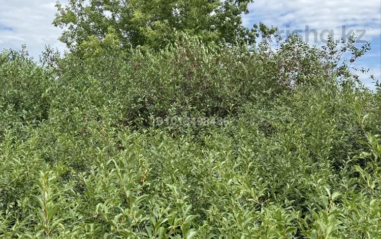 Жеке үй · 4 бөлме · 60 м² · 12 жүзд., Пригородный ш/а. 135-137 — Черемушки, бағасы: 25 млн ₸ в Астане, Есильский р-н — фото 3