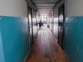 1-комнатная квартира · 17.3 м² · 5/5 этаж, ИЛЯЕВА — Шахан, Грамад за 5 млн ₸ в Шымкенте, Аль-Фарабийский р-н — фото 11