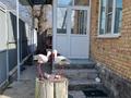 4-бөлмелі пәтер · 55 м² · 1 қабат, Аитова 46, бағасы: 20 млн ₸ в Аскара Токпанова (Казцик)