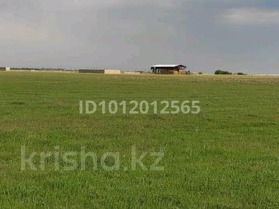 Участок · 46 соток, Шымкент за 217 000 ₸