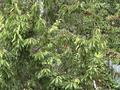 Отдельный дом · 3 комнаты · 62 м² · 12 сот., Таукехан 14 за 65 млн ₸ в Алматинской обл., Талгарский р-н — фото 9