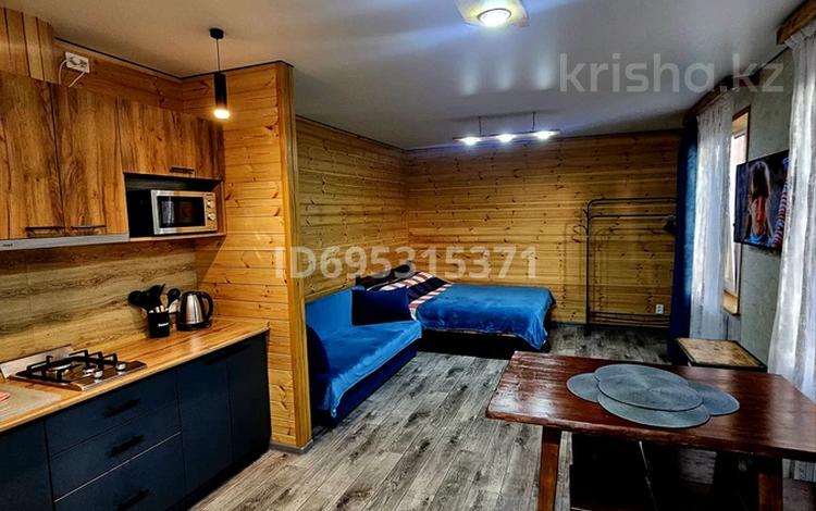 Жеке үй · 1 бөлме · 35 м², Алатау 5, бағасы: 30 000 ₸ в Бурабае — фото 8