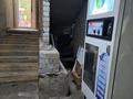 Магазины и бутики · 80 м² за 250 000 ₸ в Косшы — фото 6