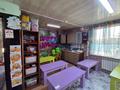 Отдельный дом · 15 комнат · 450 м² · 7.5 сот., Айбасова 49 — Сейфуллина-Жумабаева за 220 млн ₸ в Алматы, Турксибский р-н — фото 52