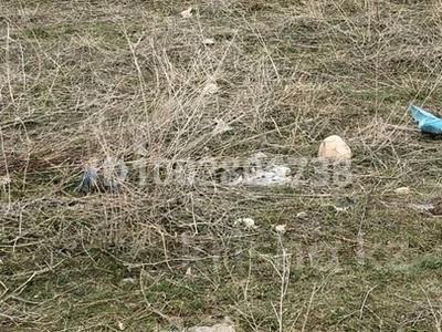 Участок · 10 соток, жилой массив Кайнар Булак, Қайнар Бұлақ за 7.3 млн ₸ в Шымкенте, Абайский р-н