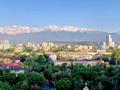 1-бөлмелі пәтер · 44 м² · 13/13 қабат, Минина, бағасы: 45 млн ₸ в Алматы, Бостандыкский р-н — фото 13