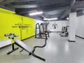 3-комнатная квартира · 156 м² · 3/3 этаж, Сейдимбека 110/1 — Выше ул Жандосова, по Шаймерденова за 235 млн ₸ в Алматы, Наурызбайский р-н — фото 50