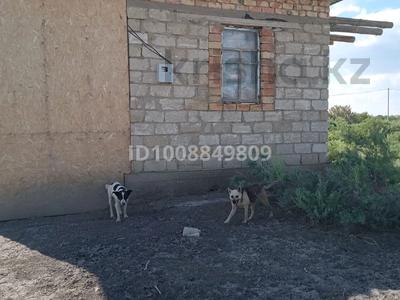 Отдельный дом · 2 комнаты · 50 м² · 8 сот., Абая 196 — Нурорда садик за 10 000 ₸ в 