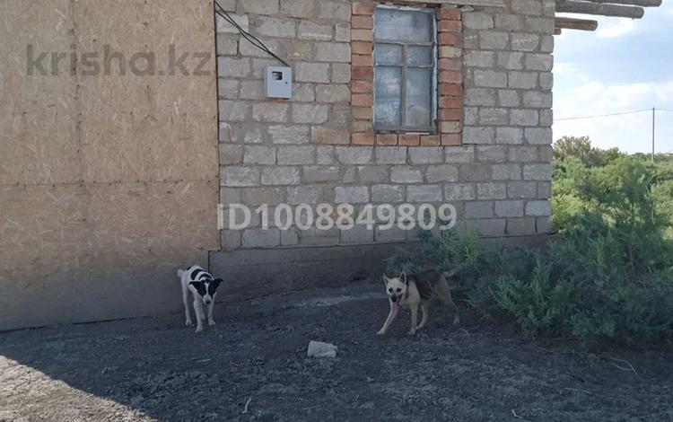Отдельный дом · 2 комнаты · 50 м² · 8 сот., Абая 196 — Нурорда садик за 10 000 ₸ в  — фото 2