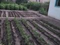 Отдельный дом · 8 комнат · 128 м² · 8 сот., Берликожанова 106 за 27 млн ₸ в Талдыкоргане — фото 2