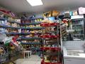 Действующий продуктовый магазин, 33 м² за 16 млн 〒 в Астане, Сарыарка р-н — фото 3