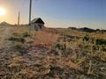 Участок · 10 соток, Ордабасы — Кайнар за 2.8 млн ₸ в Туркестане — фото 6