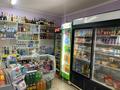 Магазины и бутики · 100 м² за 18 млн ₸ в Круглоозерном — фото 5