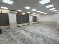 Свободное назначение · 251 м² за 3 млн ₸ в Алматы, Алмалинский р-н — фото 16
