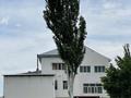 Жеке үй · 10 бөлме · 165 м² · 1000 жүзд., Жанадария 95 — Аэропорт, бағасы: 45 млн ₸ в  — фото 6