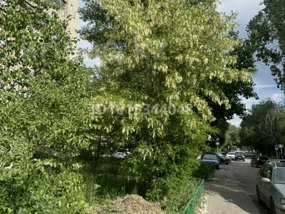 1-комнатная квартира · 36 м², Виноградова 29 — Канипы Битибаевой за 140 000 ₸ в Усть-Каменогорске, Ульбинский
