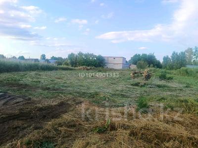 Дача · 2 комнаты · 50 м² · 38 сот., Сарыарка за 30 млн ₸ в Жибек Жолы